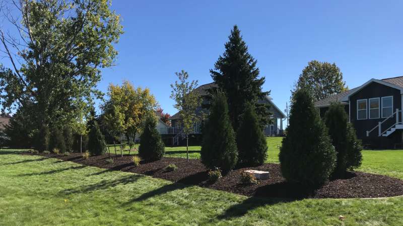 tree planting in Brown County, WI